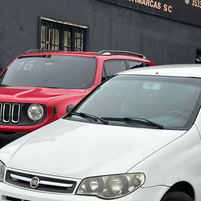 Fiat Palio Fire completo 